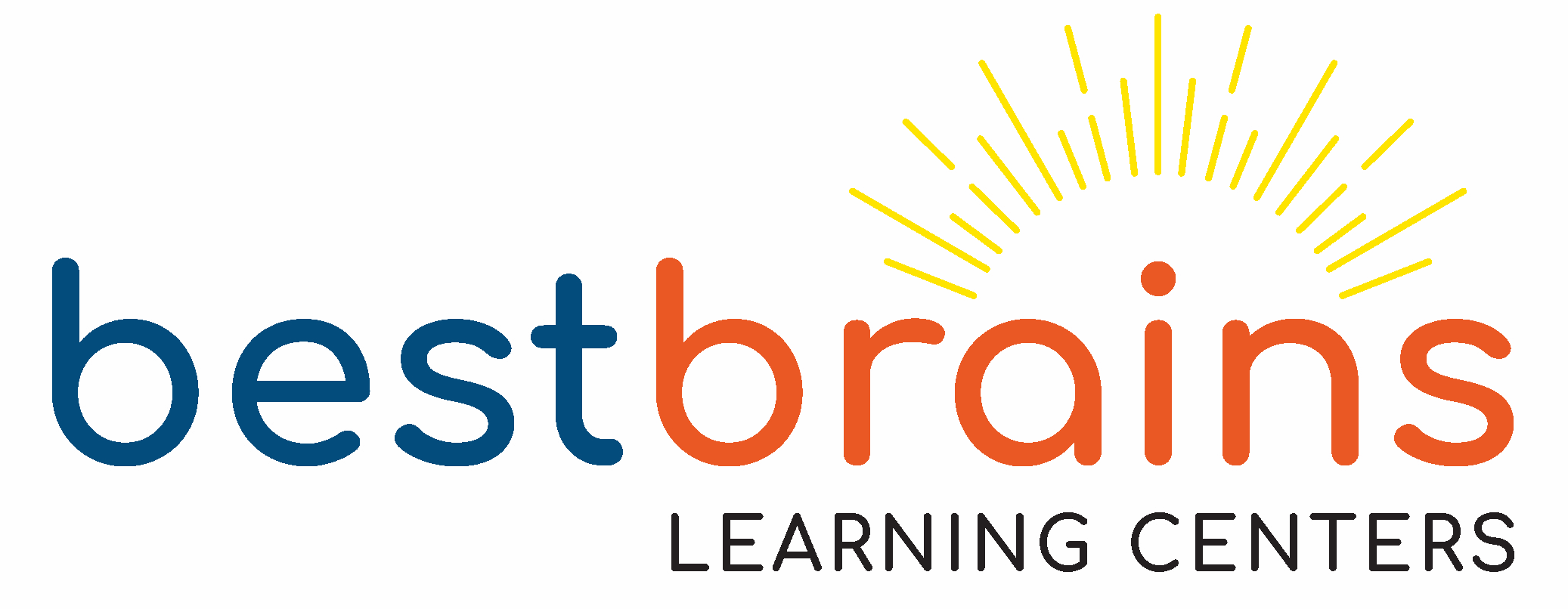 Best Brains Logo
